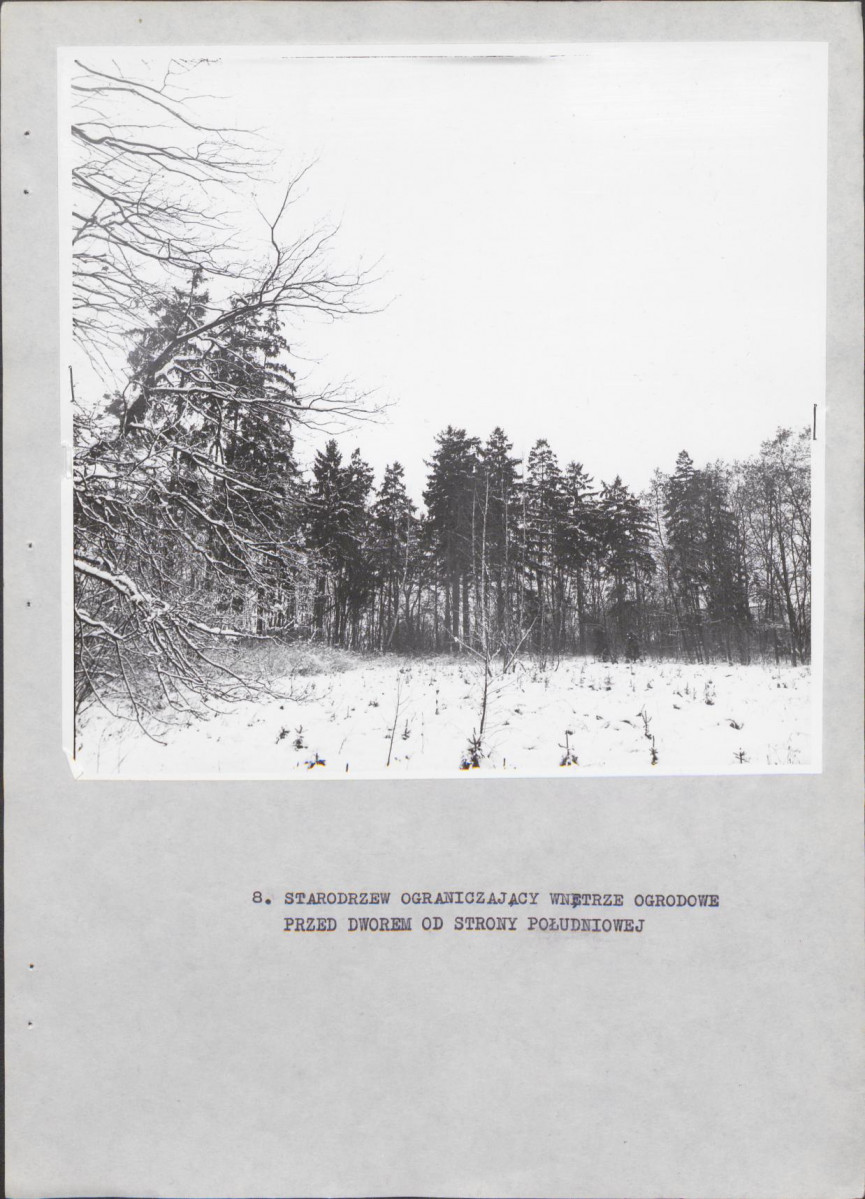 Ewidencja parkowa, skan nr 22