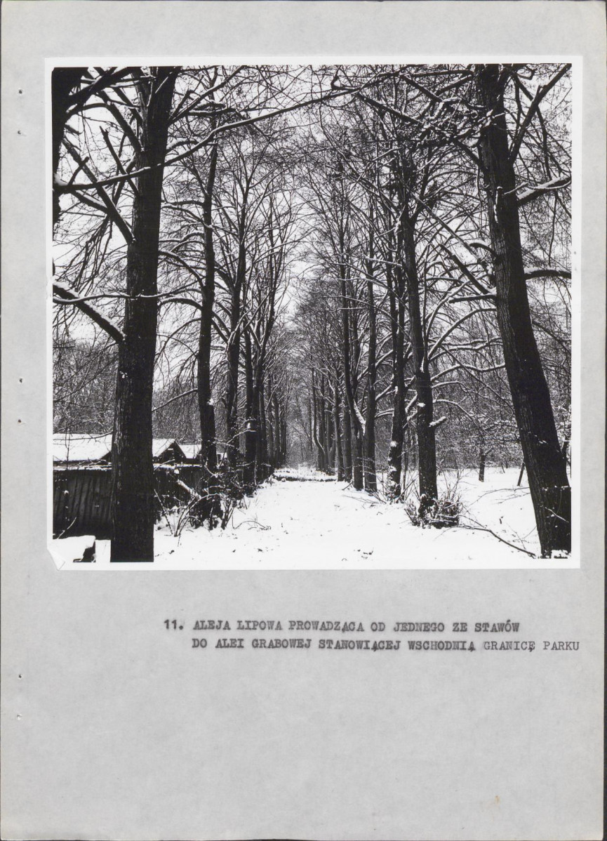 Ewidencja parkowa, skan nr 25