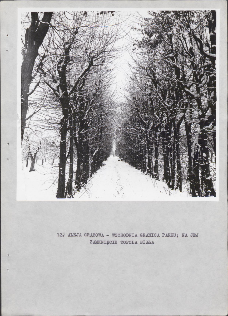 Ewidencja parkowa, skan nr 26