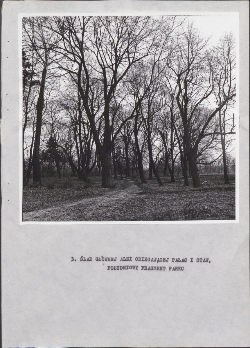 Ewidencja parkowa, skan nr 26