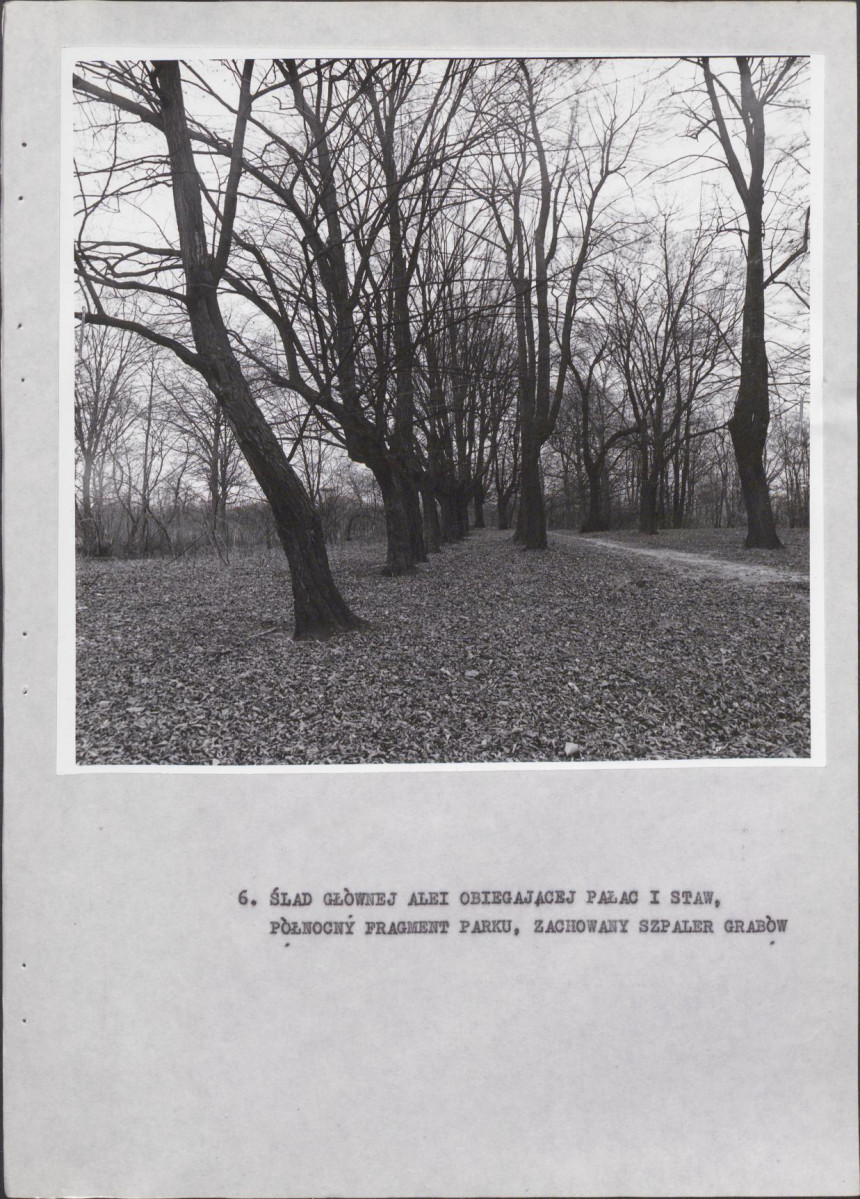 Ewidencja parkowa, skan nr 29