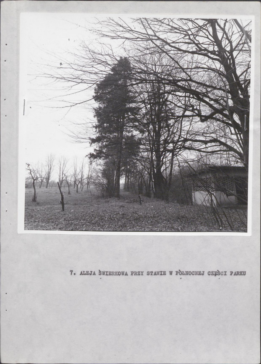 Ewidencja parkowa, skan nr 30