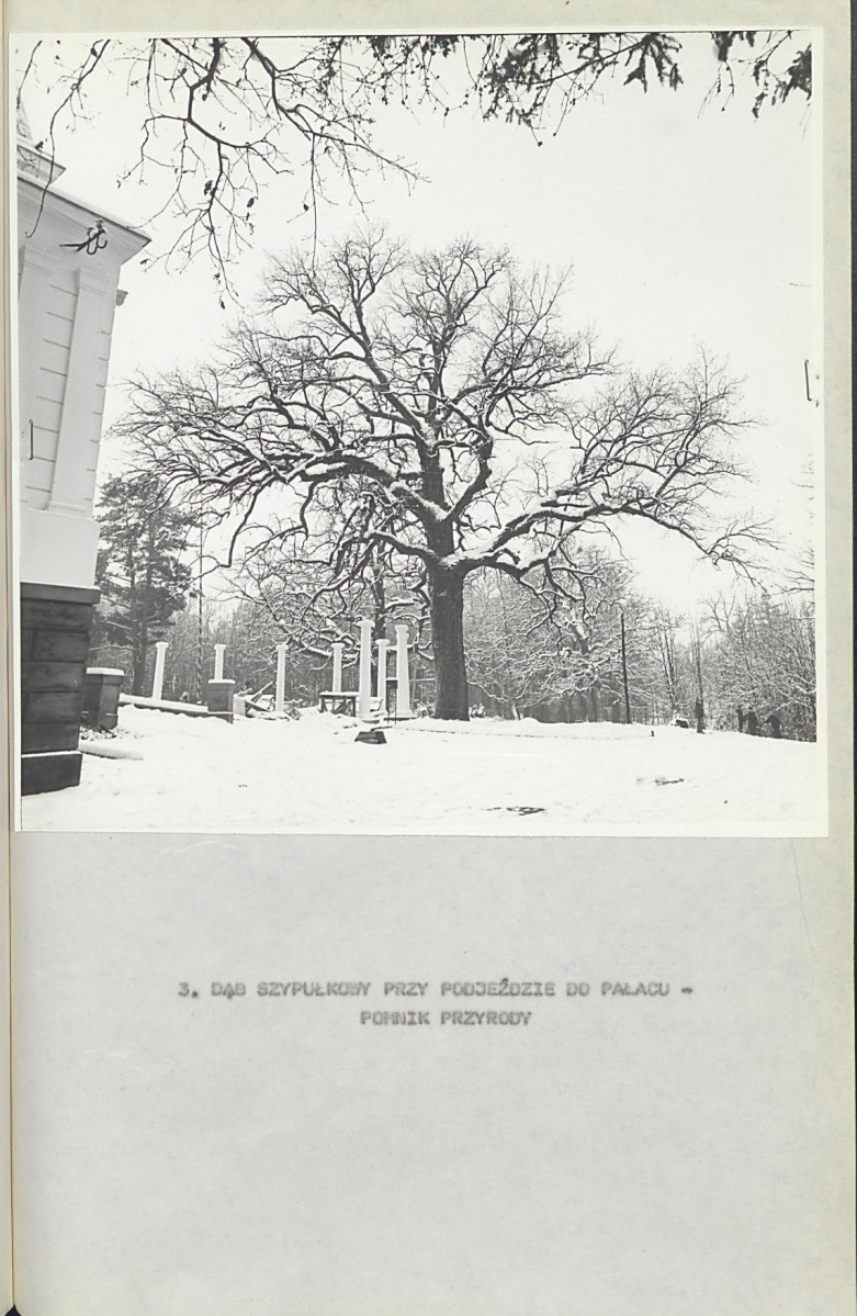 Ewidencja parkowa, skan nr 22