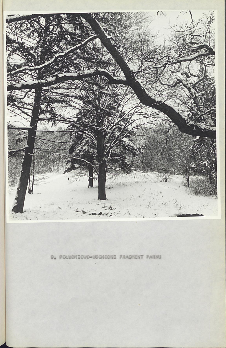 Ewidencja parkowa, skan nr 28