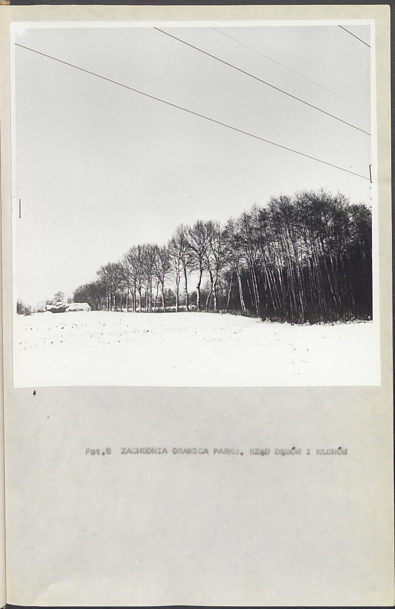 Ewidencja parkowa, skan nr 26