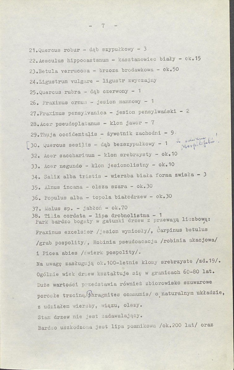 Ewidencja parkowa, skan nr 11