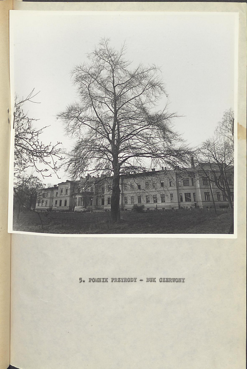 Ewidencja parkowa, skan nr 30