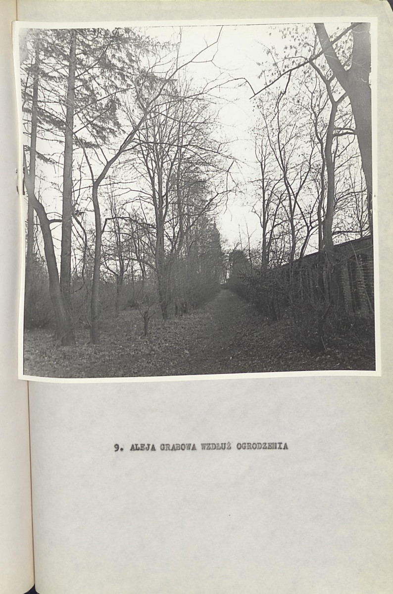Ewidencja parkowa, skan nr 34