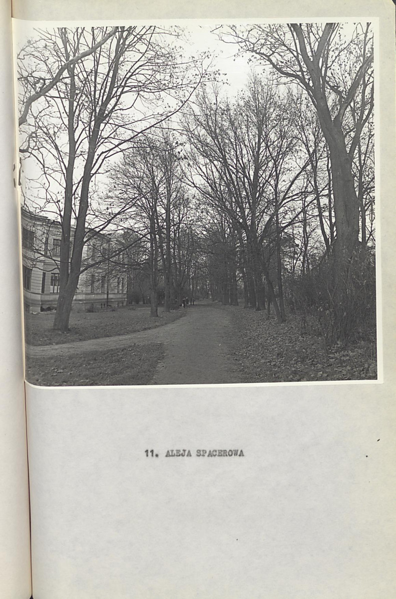 Ewidencja parkowa, skan nr 36