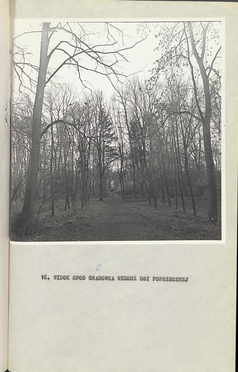 Ewidencja parkowa, skan nr 43
