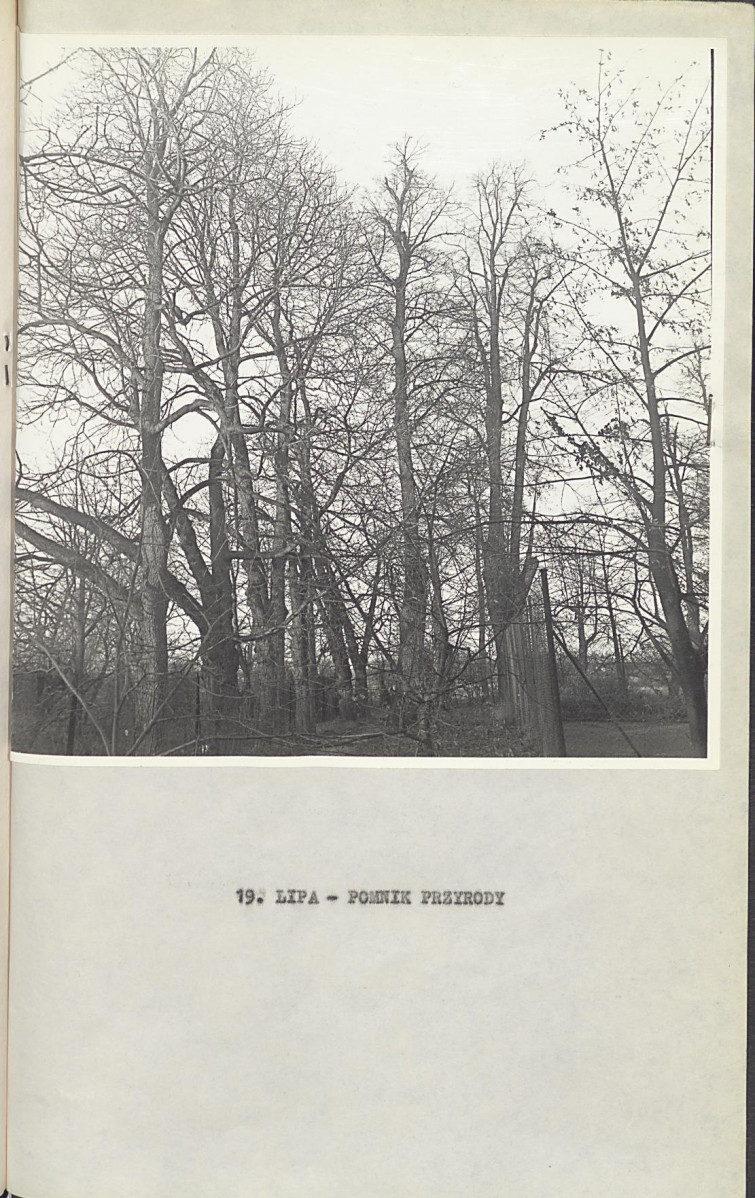 Ewidencja parkowa, skan nr 46