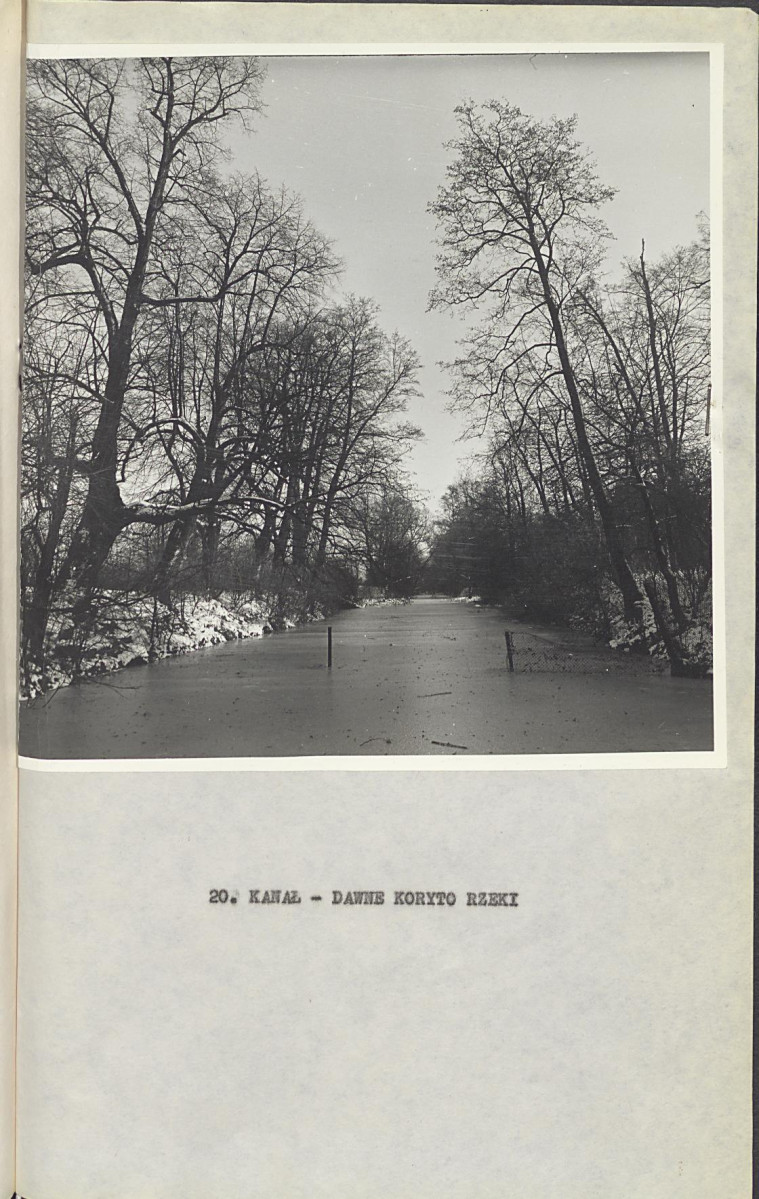 Ewidencja parkowa, skan nr 47