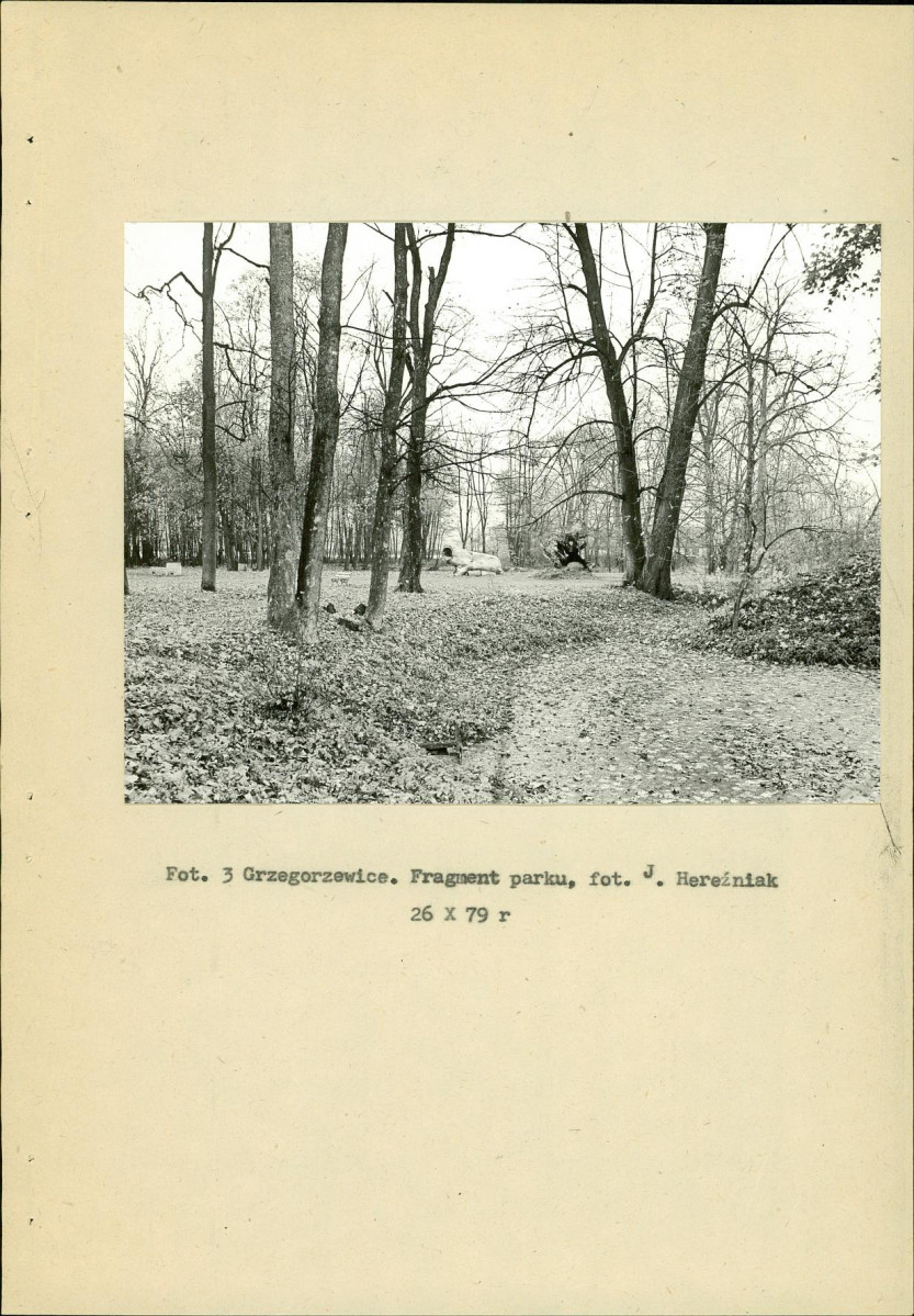 EP - Ewidencja parkowa, skan nr 16