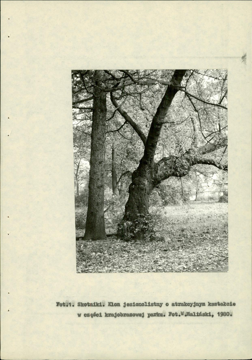 Ewidencja parkowa, skan nr 13