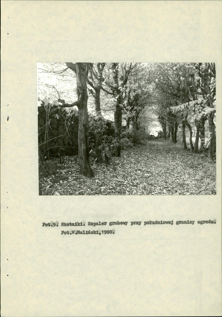 Ewidencja parkowa, skan nr 17