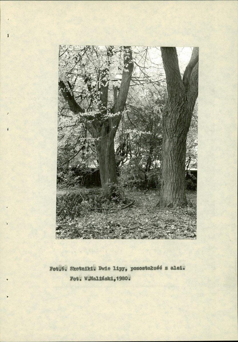 Ewidencja parkowa, skan nr 18