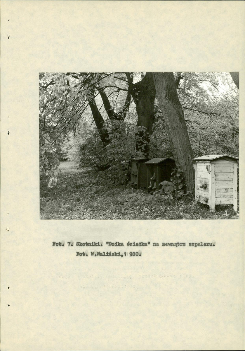 Ewidencja parkowa, skan nr 19