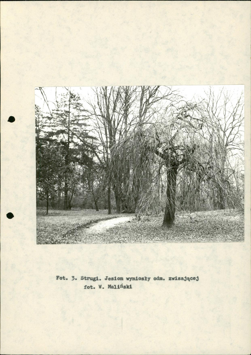 Ewidencja parkowa, skan nr 16