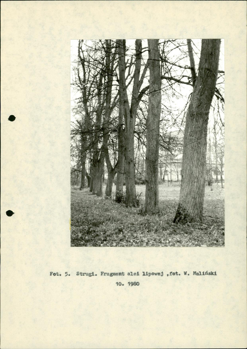 Ewidencja parkowa, skan nr 18