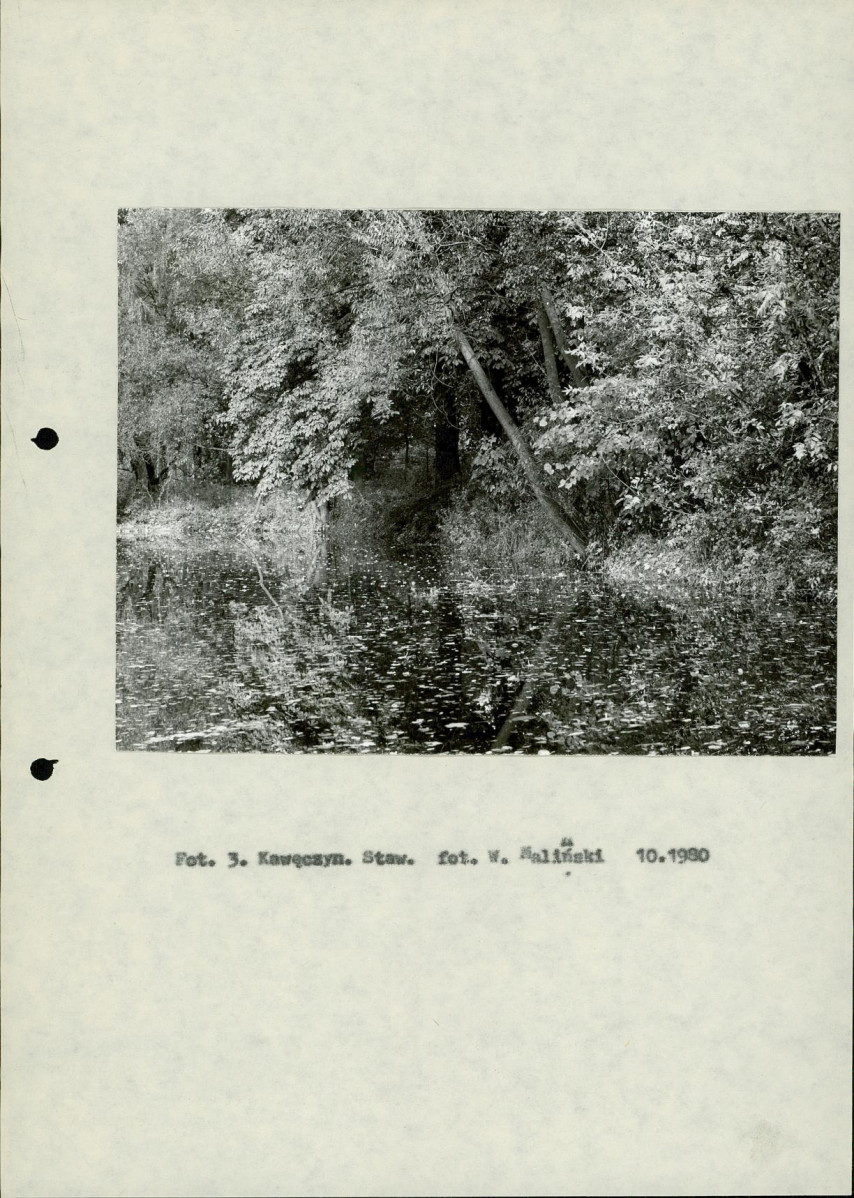 Ewidencja parkowa, skan nr 14