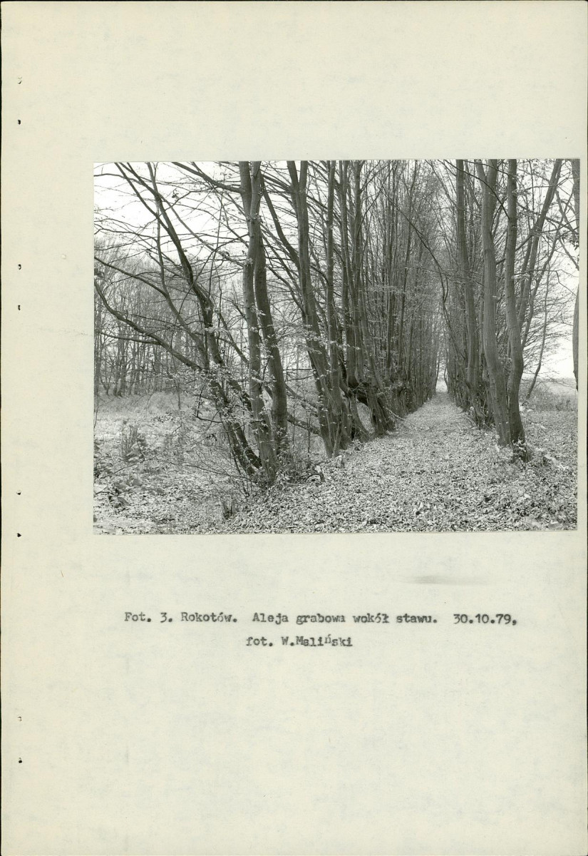 Ewidencja parkowa, skan nr 15