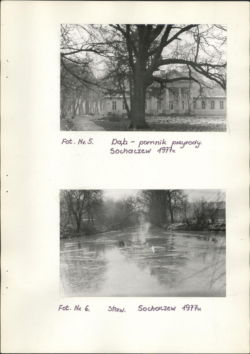 Ewidencja parkowa, skan nr 19