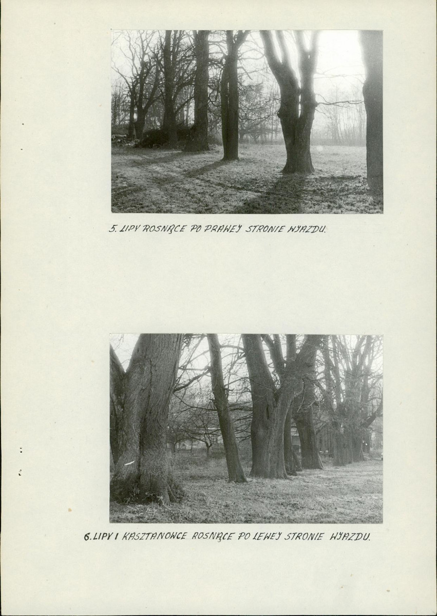 Ewidencja parkowa, skan nr 16