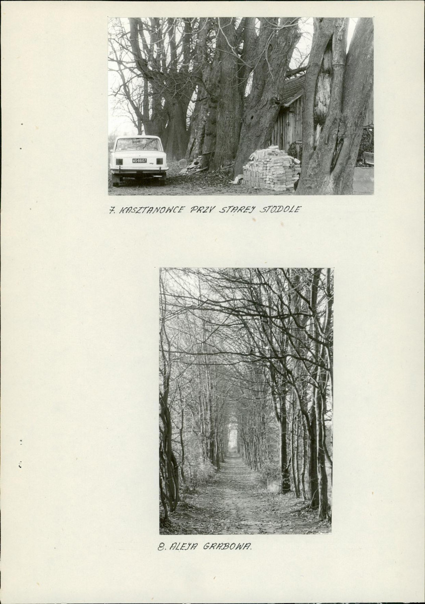 Ewidencja parkowa, skan nr 17