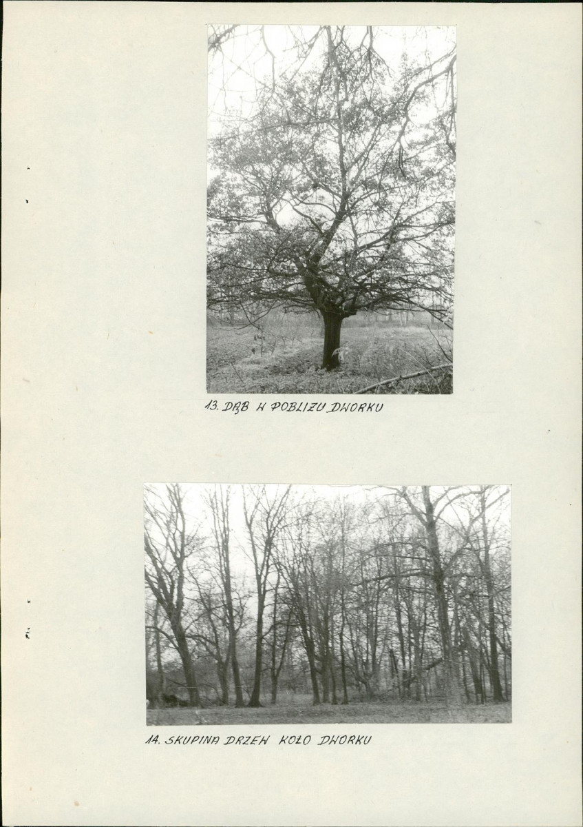 Ewidencja parkowa, skan nr 20