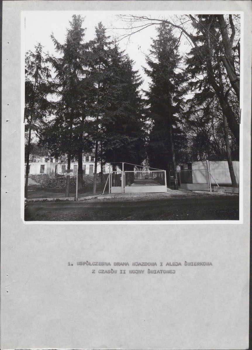 Ewidencja parkowa, skan nr 24