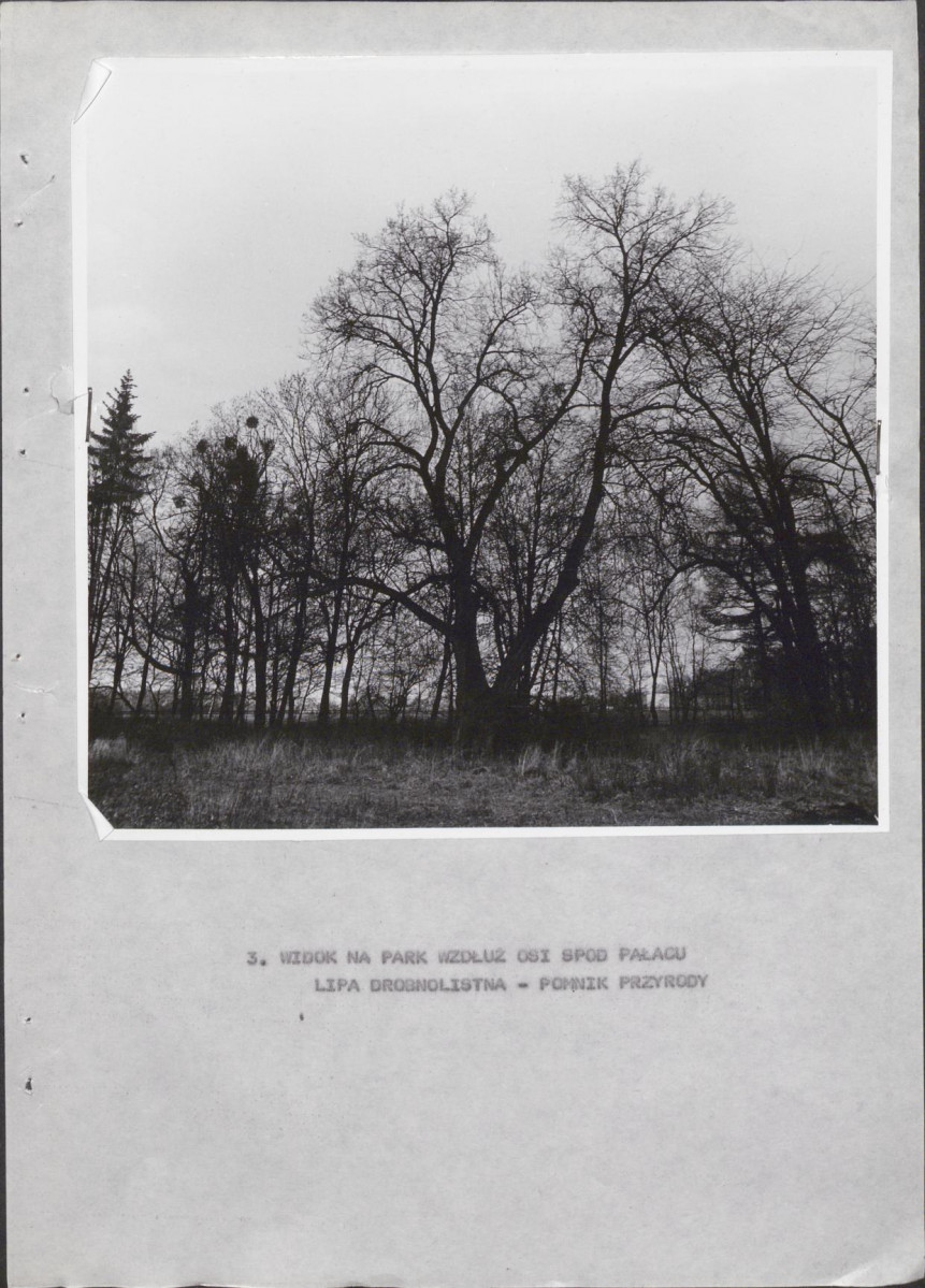 Ewidencja parkowa, skan nr 26