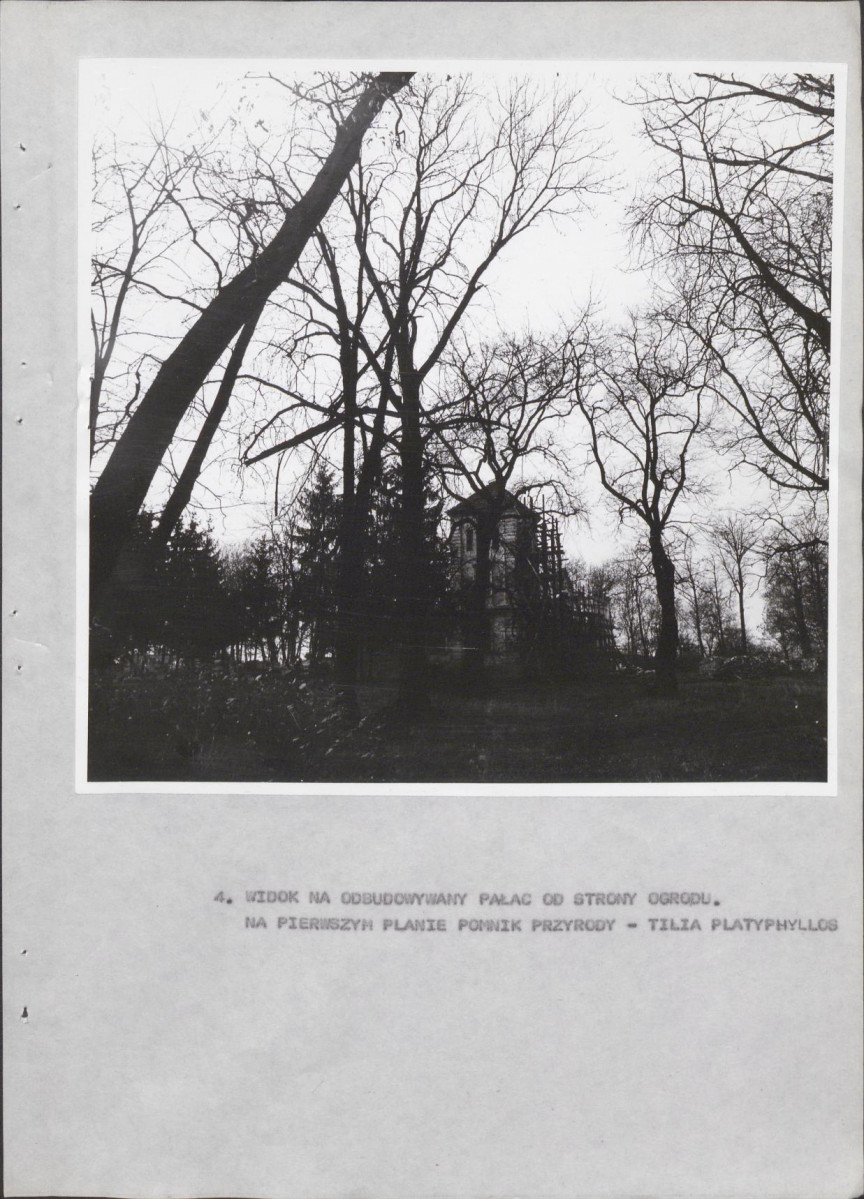 Ewidencja parkowa, skan nr 27
