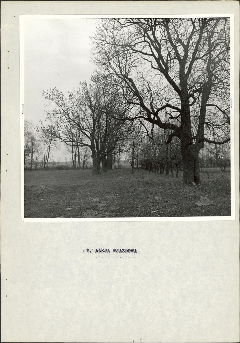 Ewidencja parkowa, skan nr 16