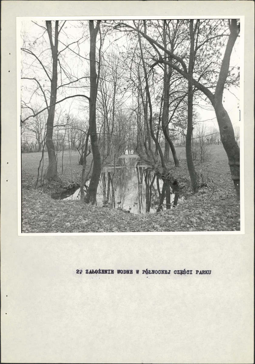 Ewidencja parkowa, skan nr 17