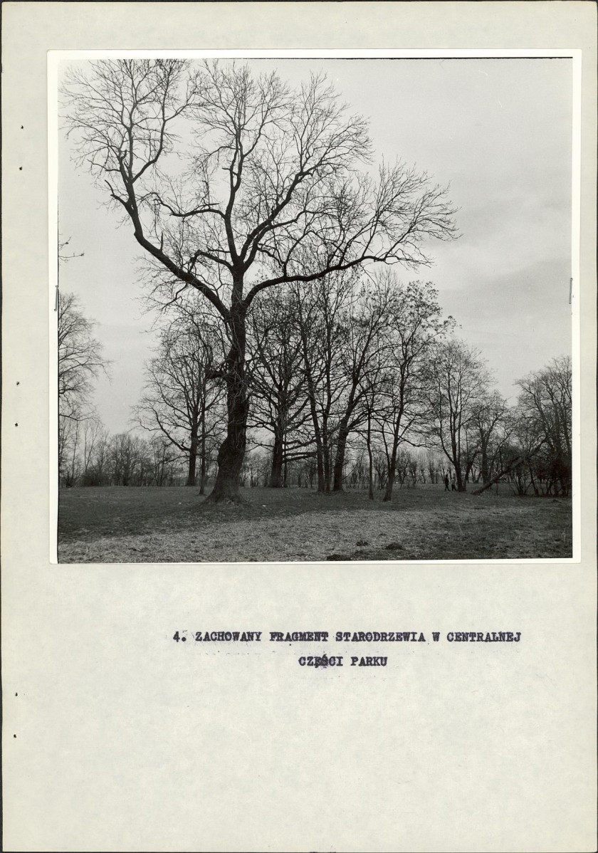 Ewidencja parkowa, skan nr 19
