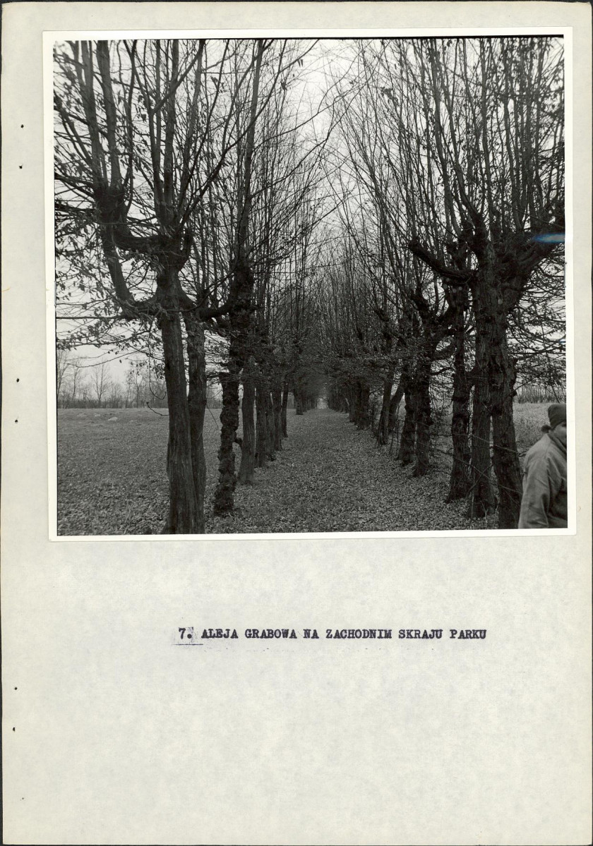 Ewidencja parkowa, skan nr 22