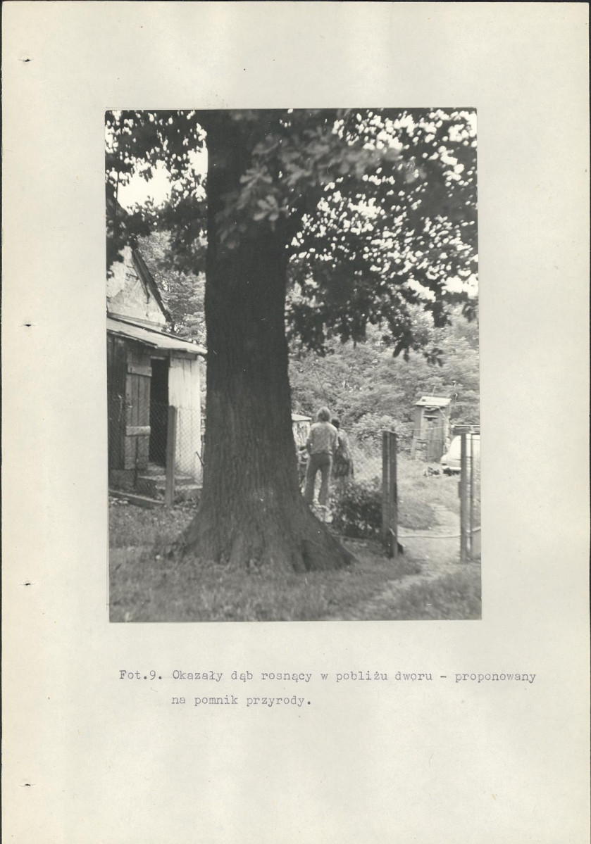 Ewidencja parkowa, skan nr 52