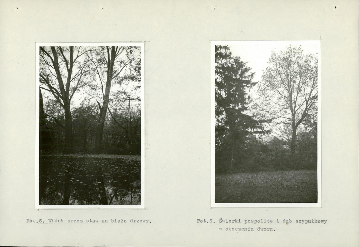 Ewidencja parkowa, skan nr 30