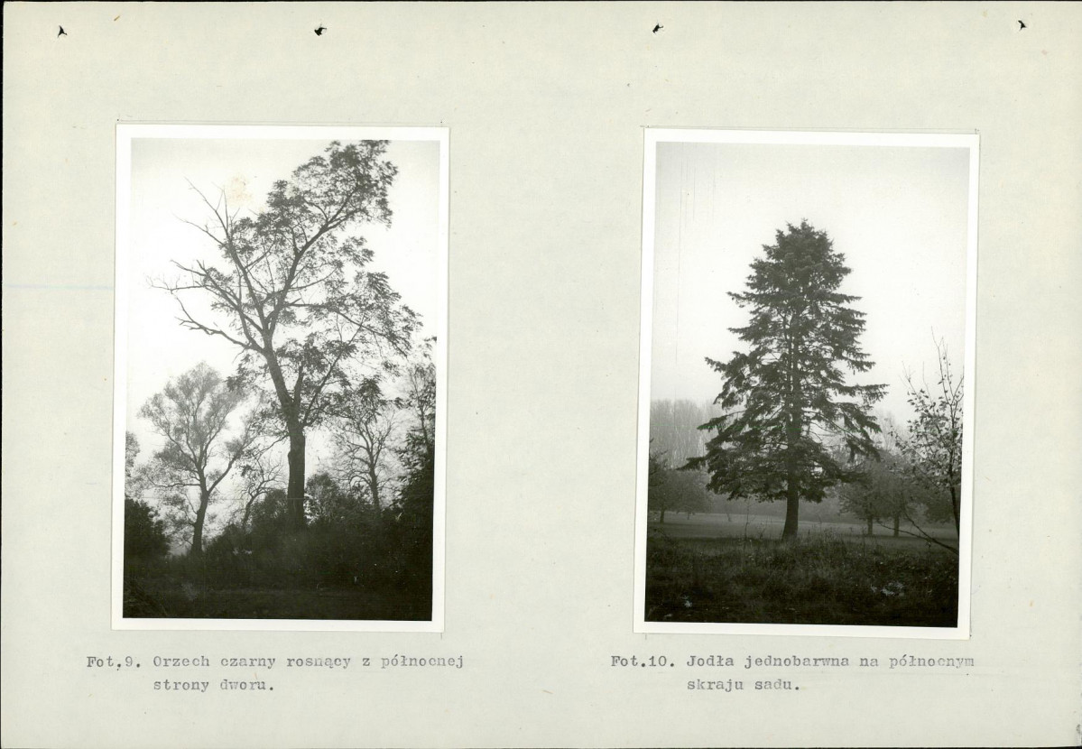 Ewidencja parkowa, skan nr 32