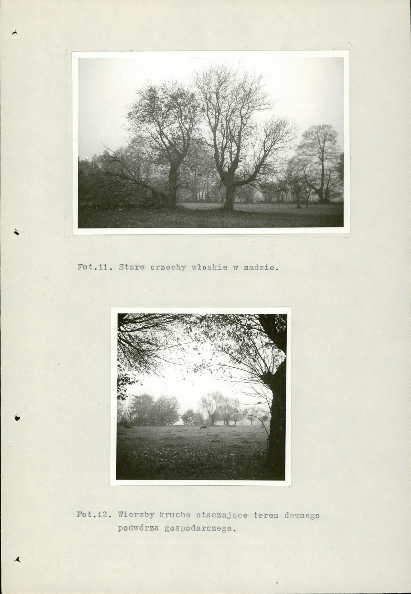 Ewidencja parkowa, skan nr 33