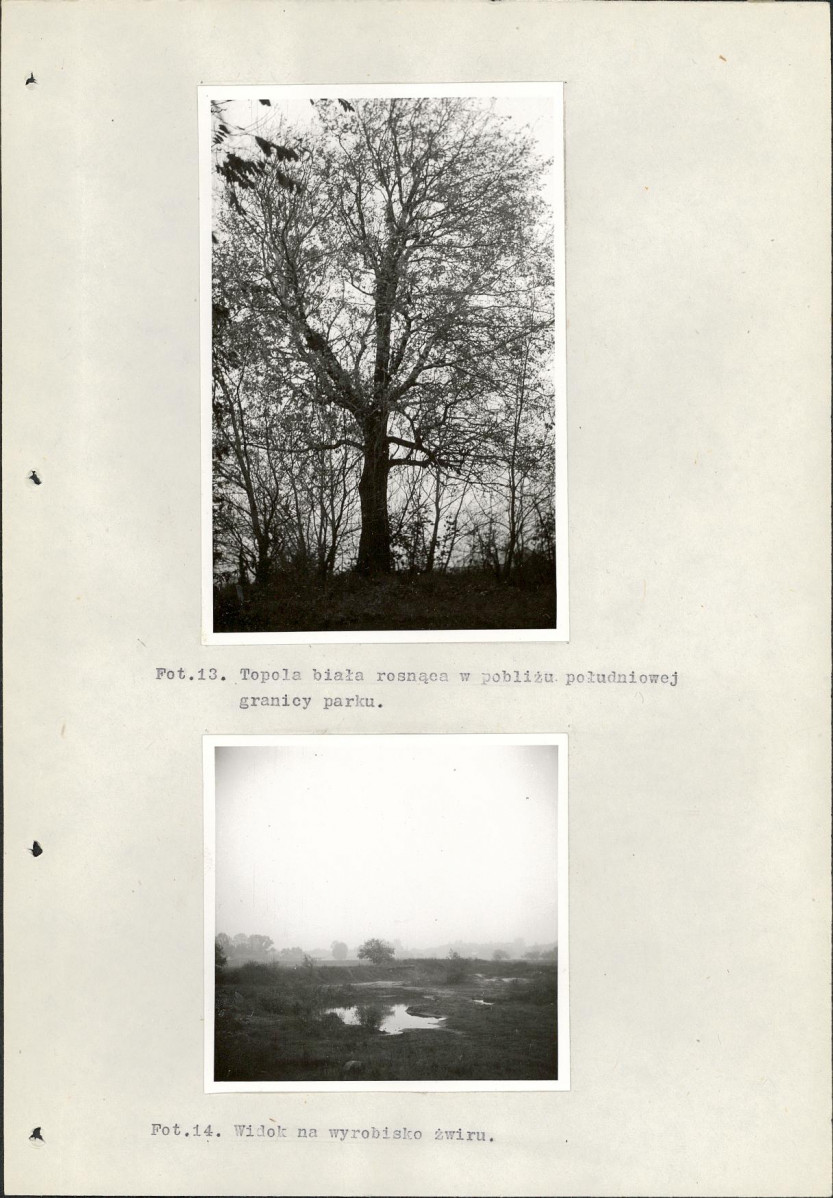 Ewidencja parkowa, skan nr 34