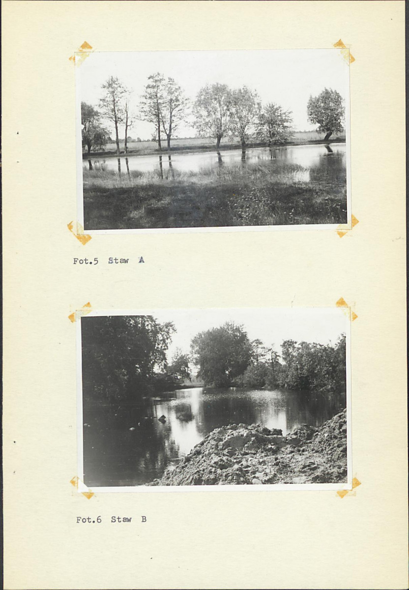 Ewidencja parkowa, skan nr 22