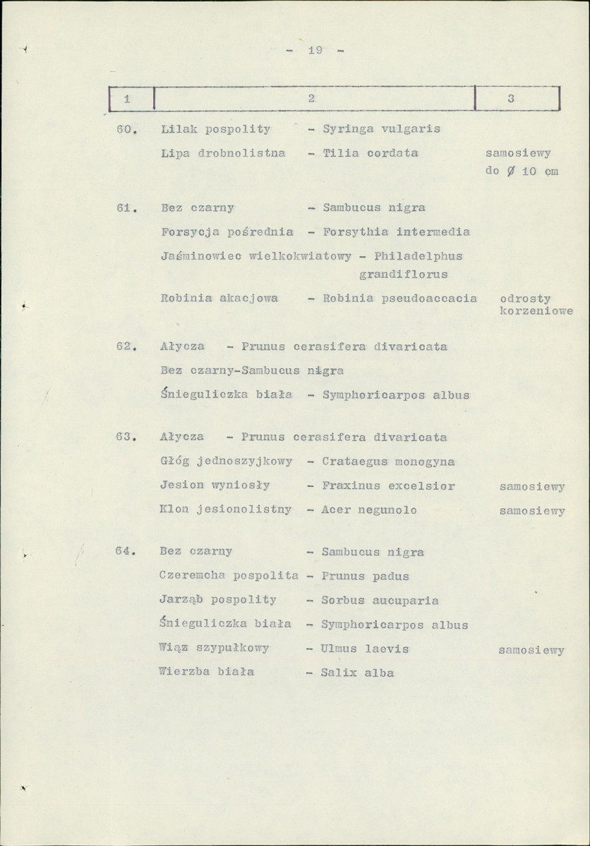 Ewidencja parkowa, skan nr 26