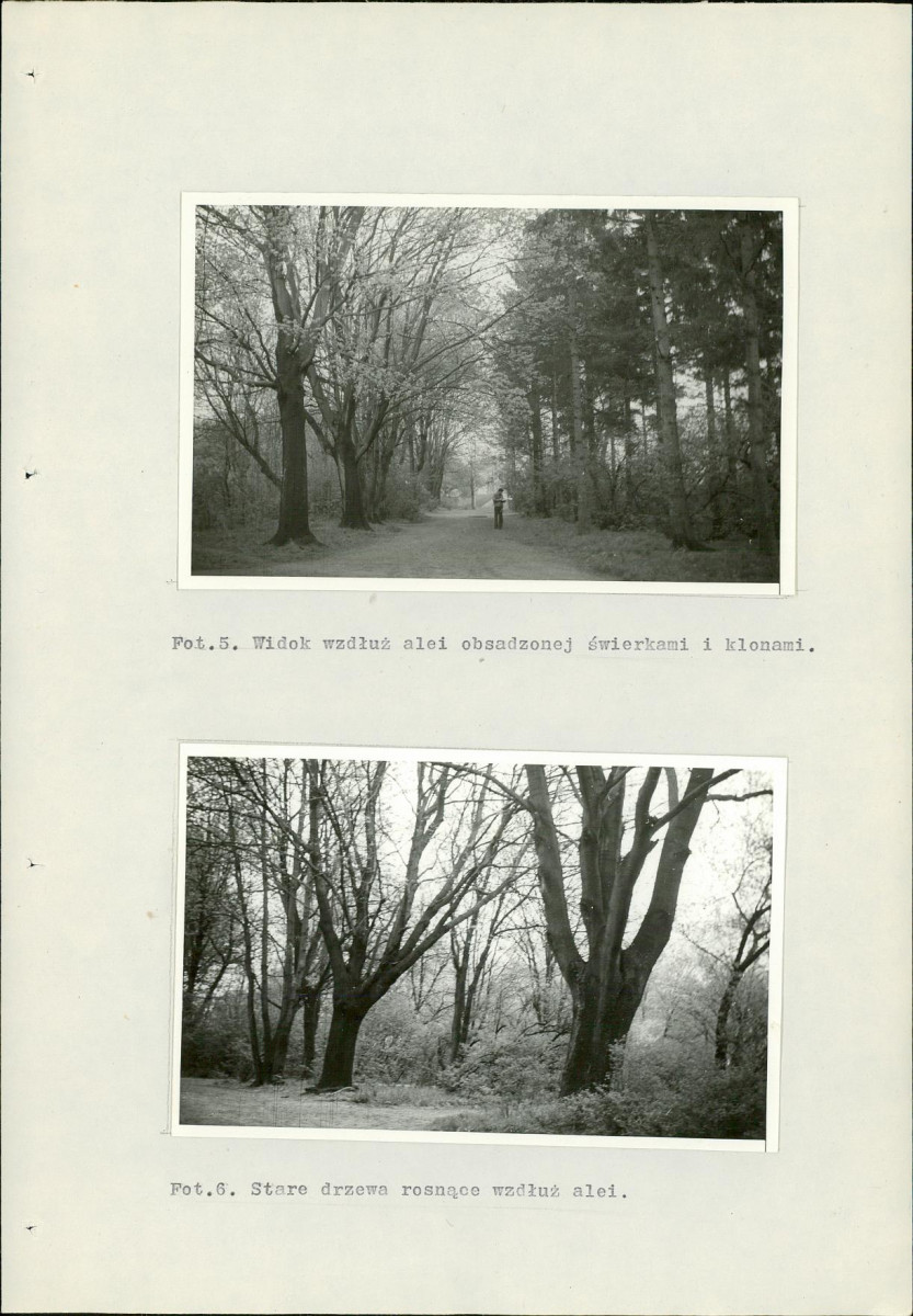 Ewidencja parkowa, skan nr 35
