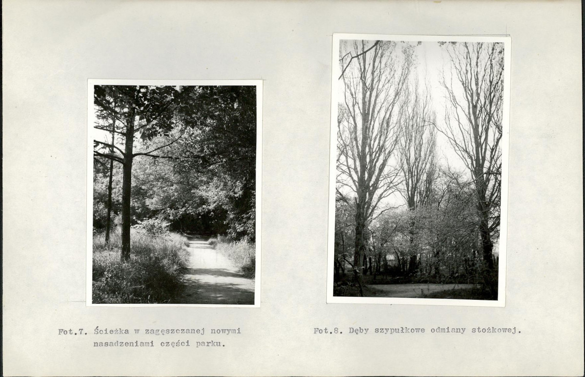 Ewidencja parkowa, skan nr 36