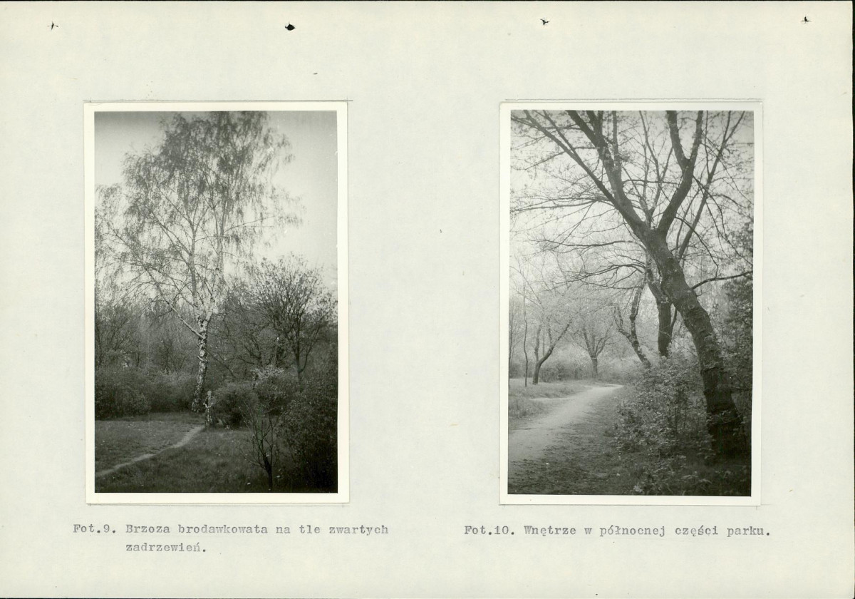 Ewidencja parkowa, skan nr 37