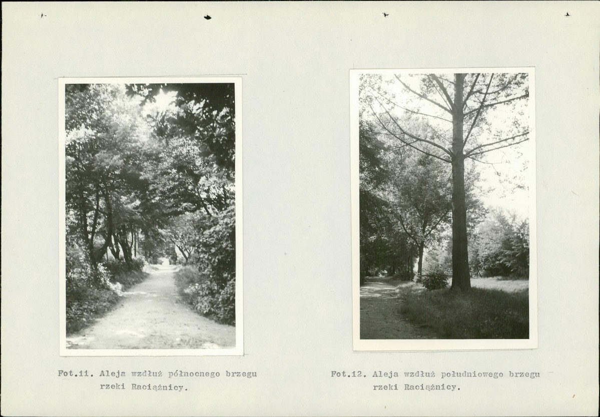 Ewidencja parkowa, skan nr 38