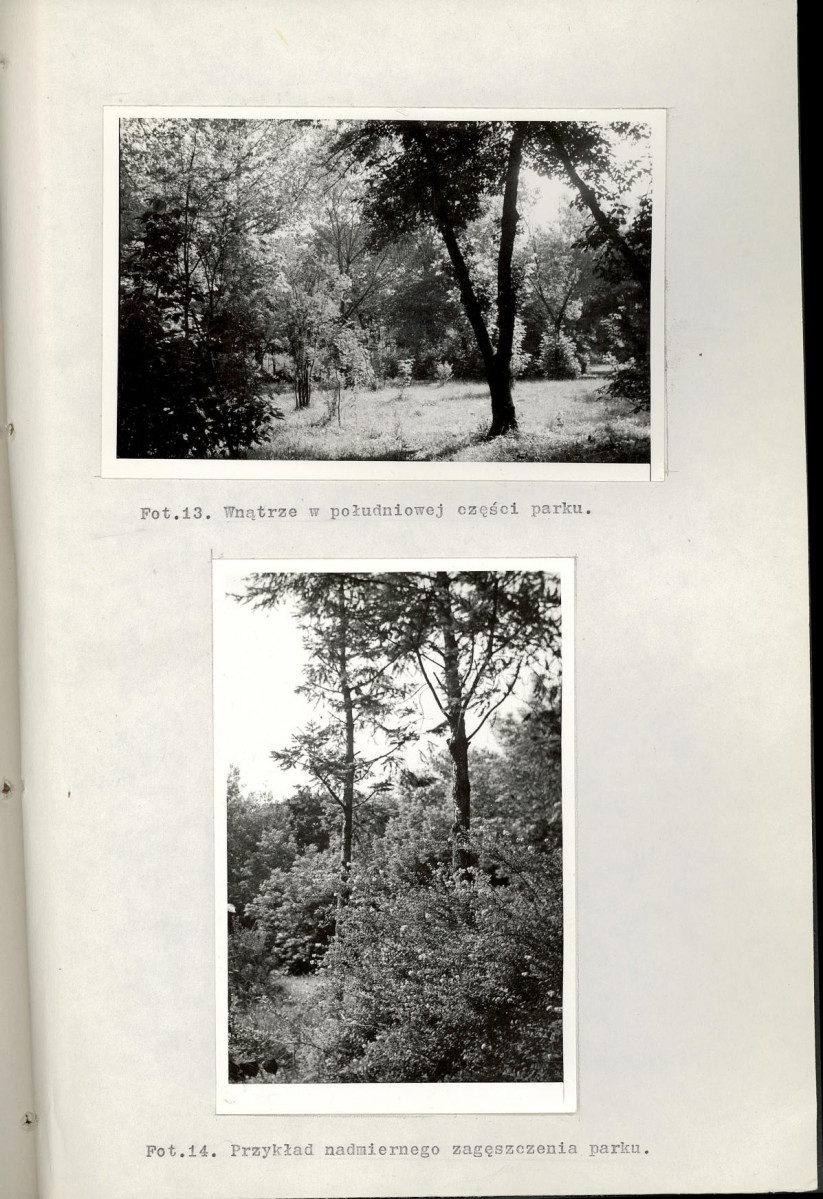 Ewidencja parkowa, skan nr 39