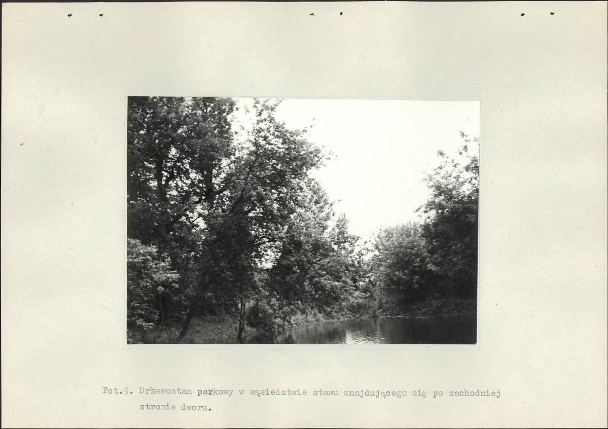 Ewidencja parkowa, skan nr 34