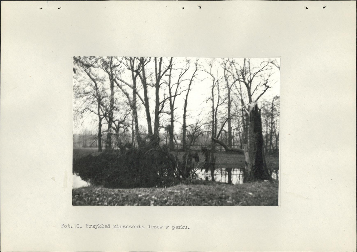 Ewidencja parkowa, skan nr 35